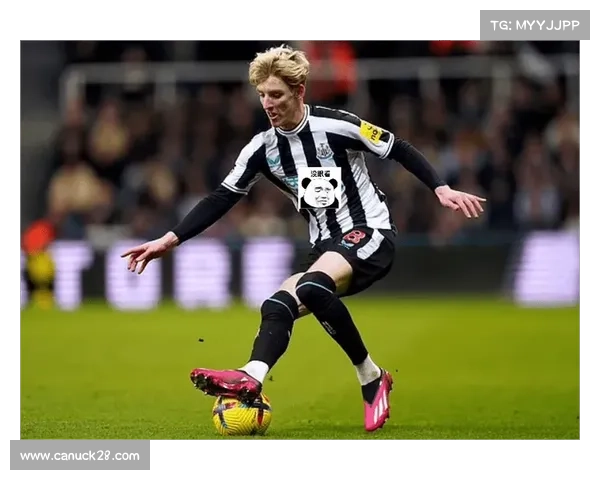 里沙利松或冬窗重返埃弗顿 莫耶斯计划强化锋线火力